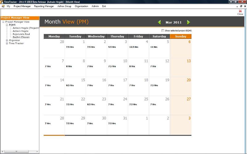 Month View